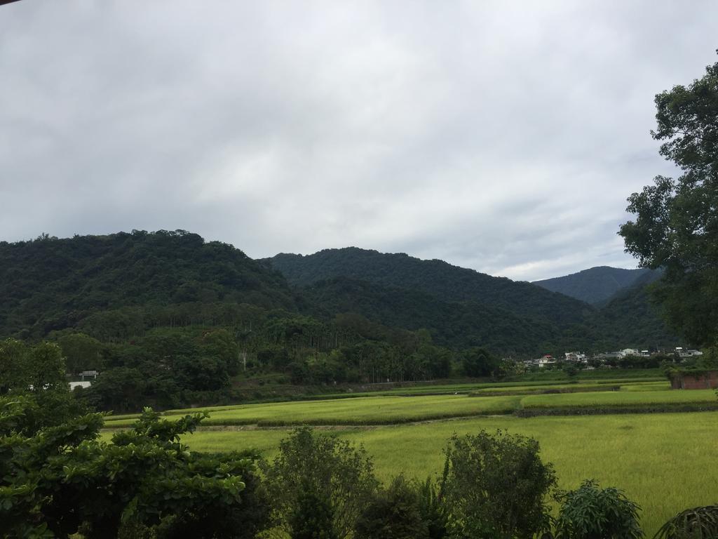 Golden Flower Homestay Yuli Exterior photo
